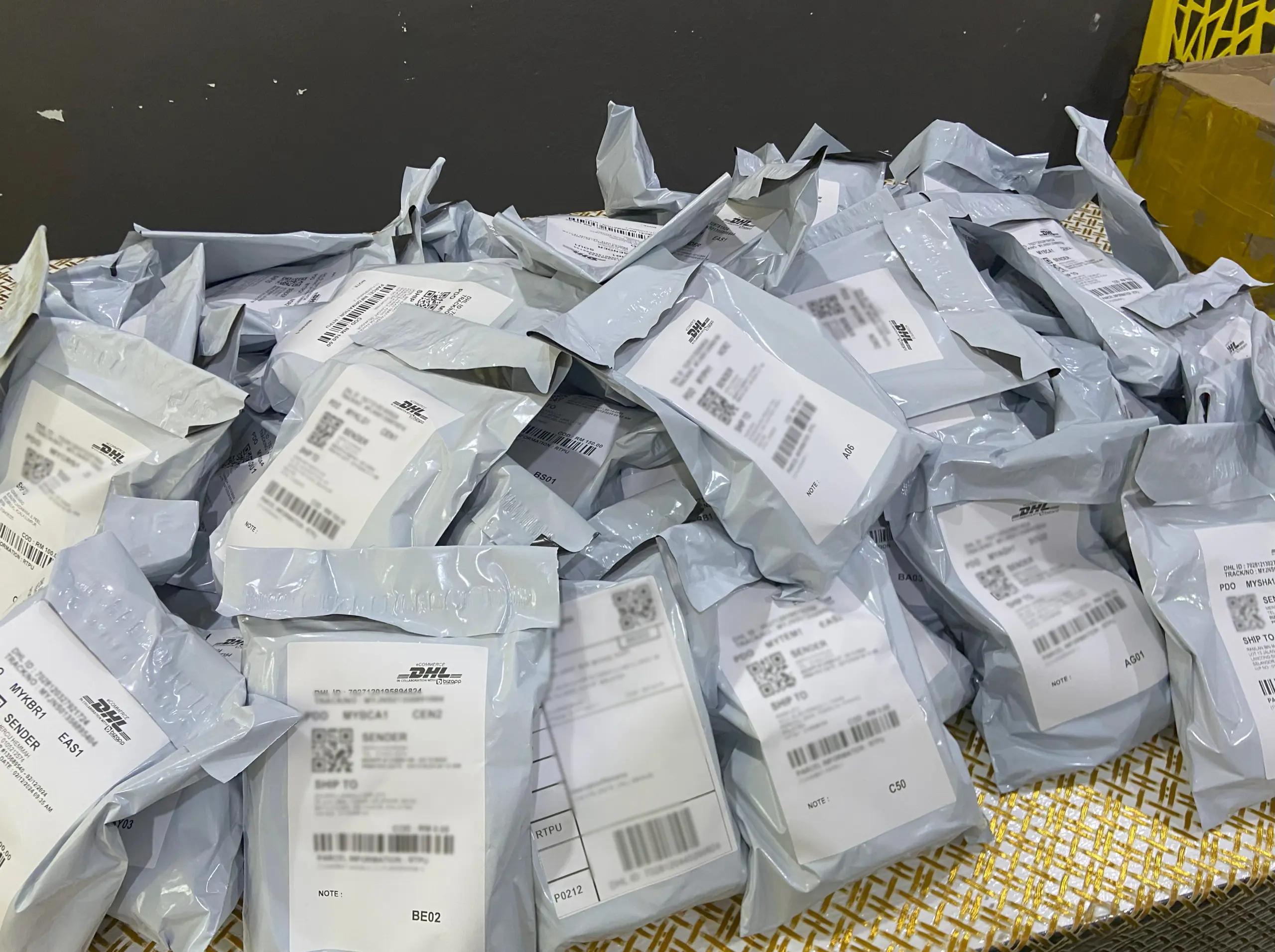 Lambakan parcel Skiynova